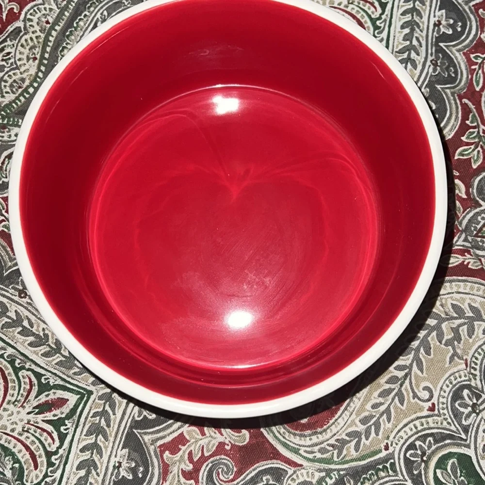 Rae Dunn Holiday dog bowl
